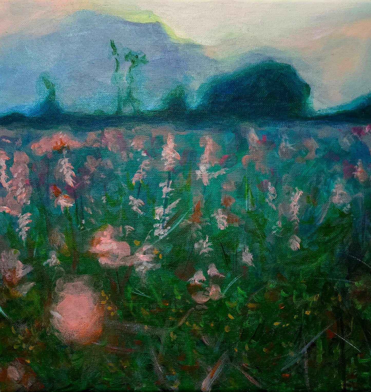 When the Meadow Dreams