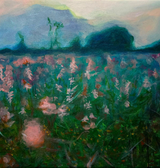 When the Meadow Dreams